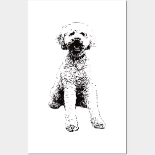 Labradoodle Face Design - A Labradoodle Christmas Gift Posters and Art